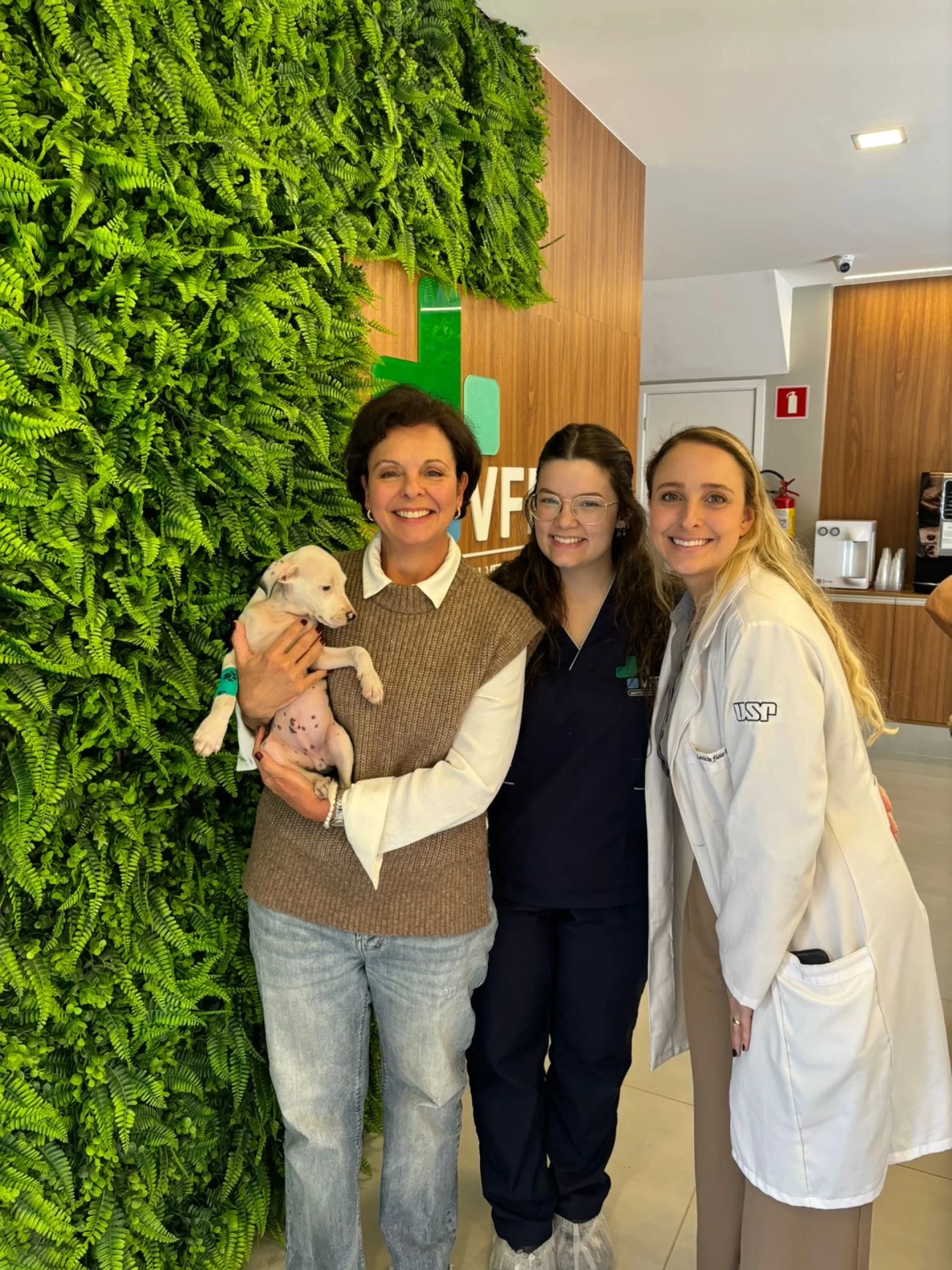 Pacientes VFP
